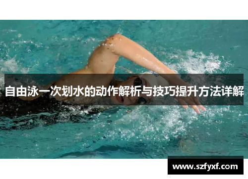 自由泳一次划水的动作解析与技巧提升方法详解