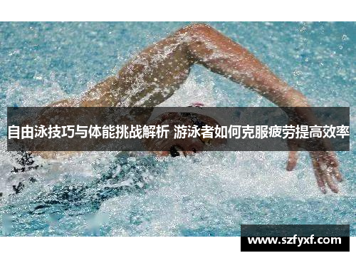 自由泳技巧与体能挑战解析 游泳者如何克服疲劳提高效率