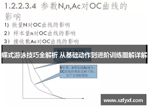 蝶式游泳技巧全解析 从基础动作到进阶训练图解详解